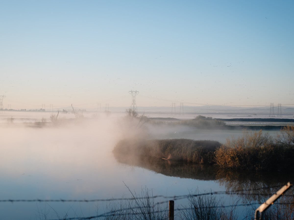 Early morning fog rises from the Sacramento-San Joaquin Delta near Rio Vista, California, in February. The delta is a vast region home to critical water infrastructure, sweeping salt and freshwater ecosystems and hundreds of thousands of Californians.