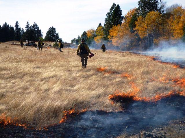 A prescribed burn conducted by the USFS in Turnbull National Wildlife Refuge aimed to protect and restore the natural distribution and diversity of grassland and shrub steppe habitats, and reduce excessive accumulation of invasive grass species.