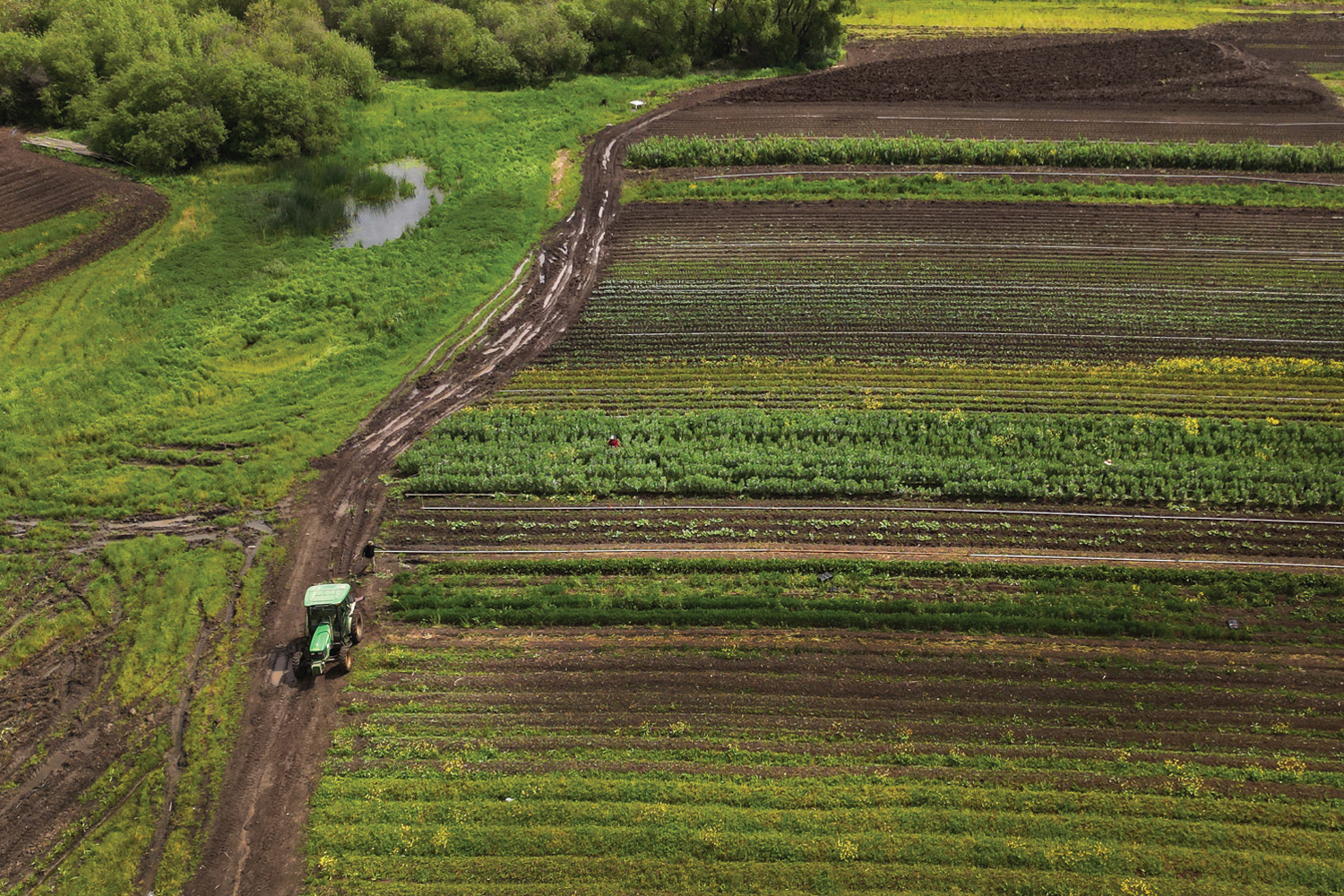 Picoso Farm in Gilroy, California, is still trying to recover from a series of devastating floods.