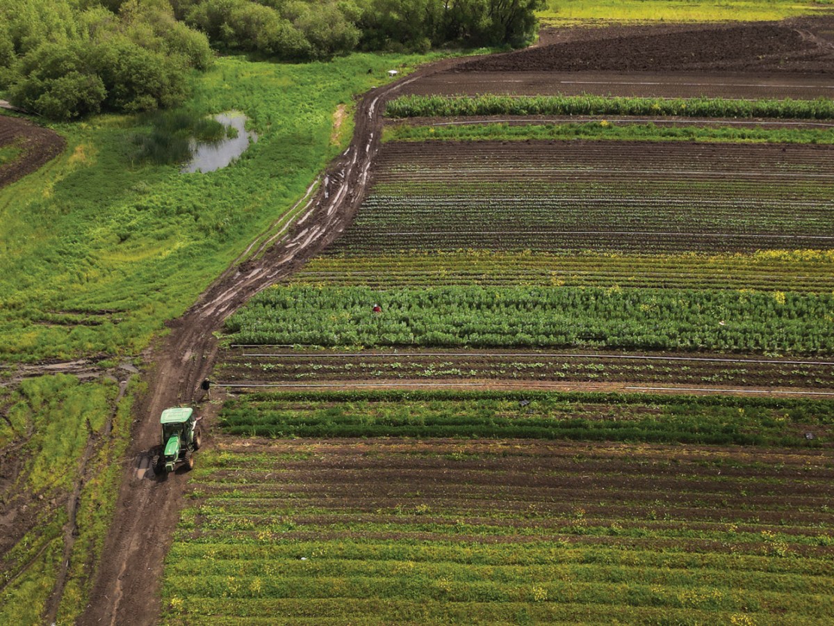 Picoso Farm in Gilroy, California, is still trying to recover from a series of devastating floods.