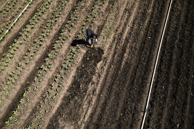 Maria Narez’s wife, Esme, works on the couple's farm in Salinas, California.