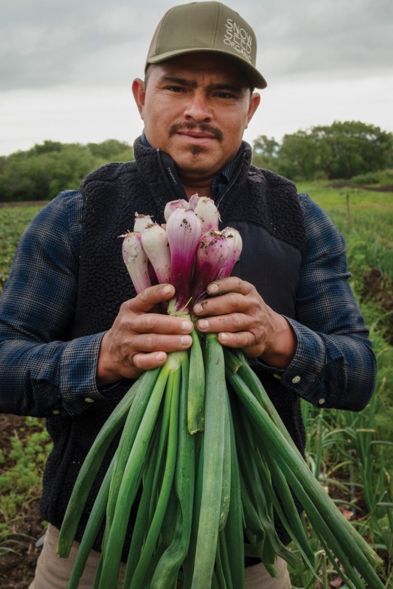 Nancy Nuñez's partner, José, harvests produce at their Picoso Farm in Gilroy, California.