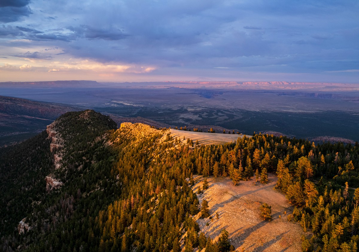 A view of Marble Canyon and the Vermillion Cliffs from above the Kaibab Plateau shows the northeastern parcel of the newly designated monument.