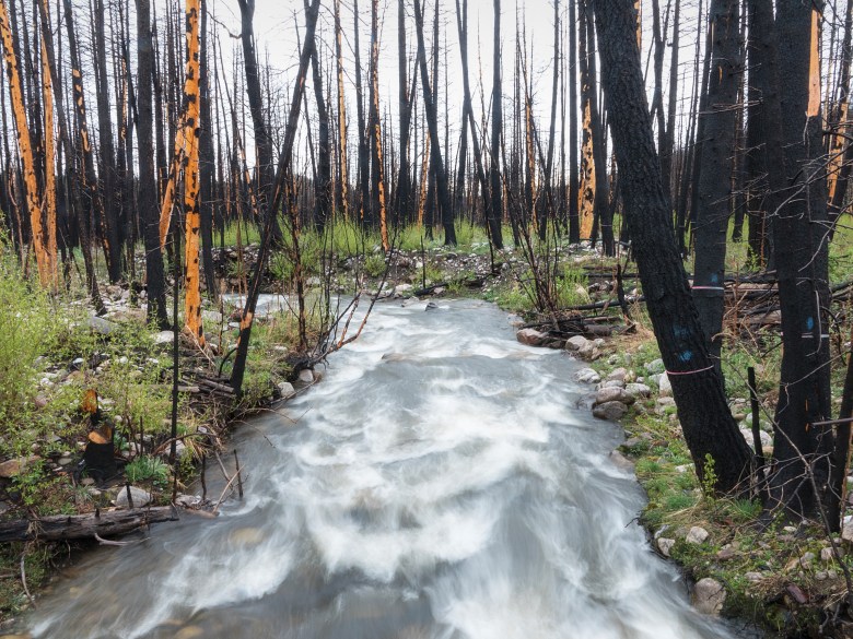 Spring runoff in Rio la Casa Creek after the Hermit’s Peak/Calf Canyon Fire.