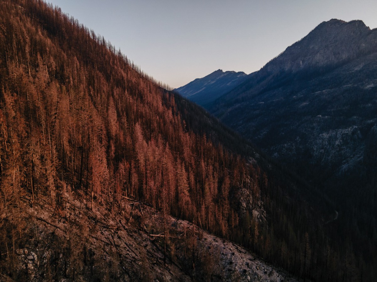 Burned-over forest in Washington near the origin of the Bolt Creek Fire, with Eagle Rock on the right and Townsend Mountain in the distance.