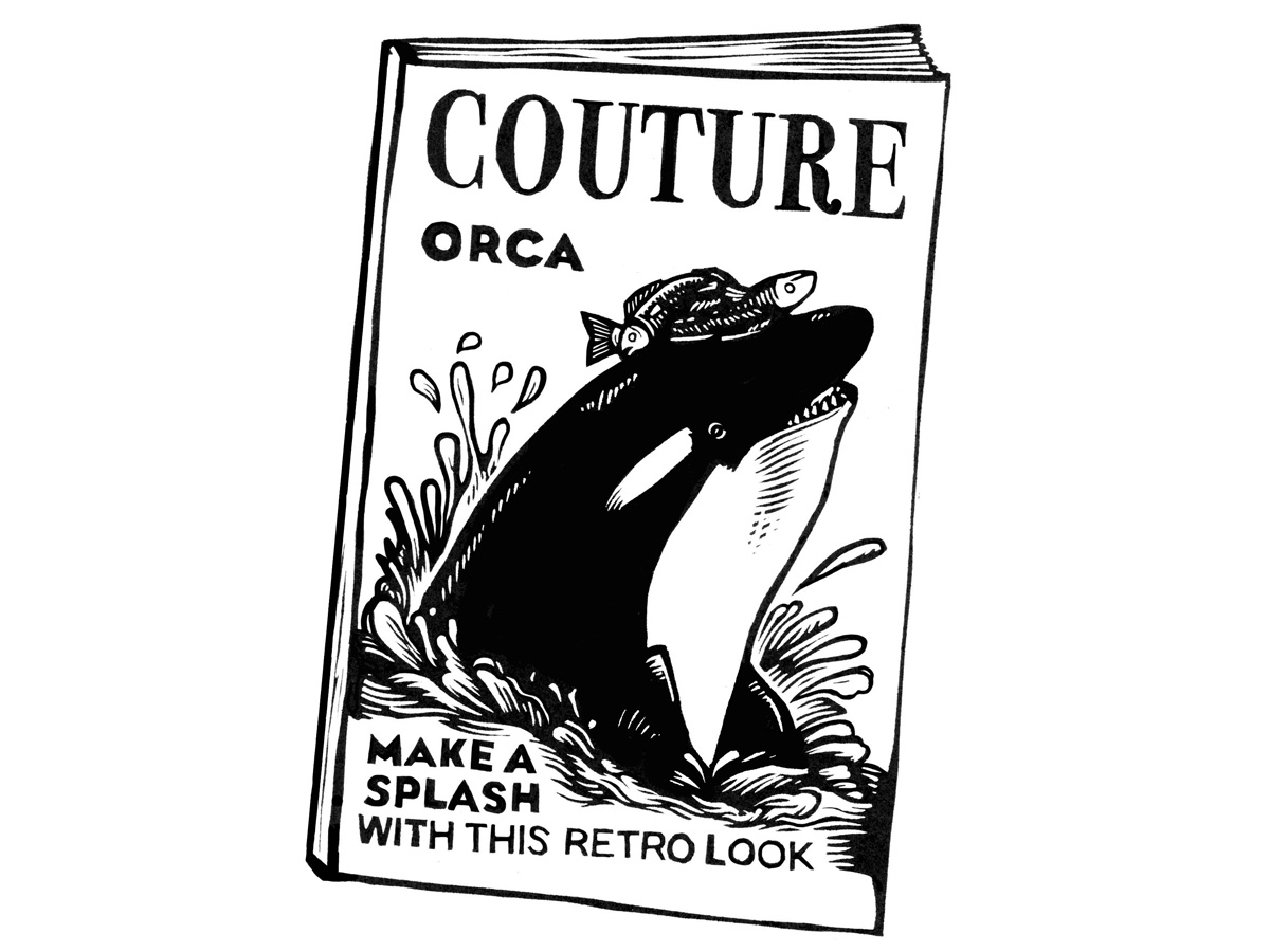 Orcas à la mode, totally tubular sea pickles and bloodthirsty squirrels