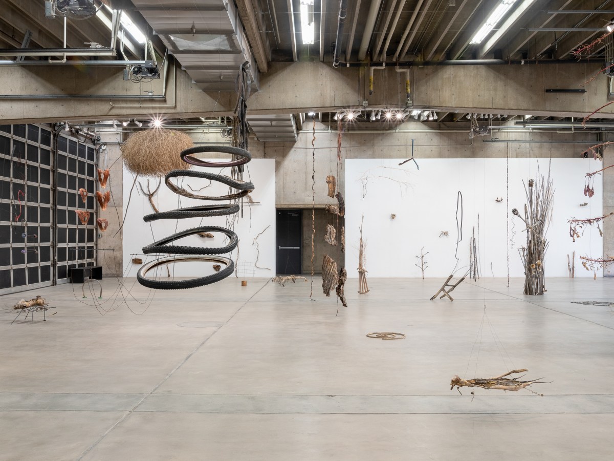 Installation view, Cecilia Vicuña: Sonoran Quipu, MOCA Tucson, 2023.