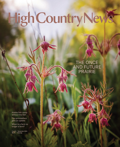 Prairie smoke, Geum triflorum, grows in a prairie remnant in a cemetery near Pullman, Washington.