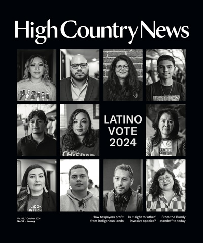 Latinos active in the 2024 elections. Pictured from left, top row: Elizabeth Rentería, Culinary Union shop steward and guest-room attendant, Las Vegas, Nevada; Jonathan Soto Robles, deputy director of grassroots, The LIBRE Initiative, Phoenix, Arizona; ELLA founder Maria Fernandez, Sunnyside, Washington; Victor Rodriguez, potential voter, Phoenix. Middle row: Ismael Luna, potential voter, Phoenix; Audrey Peral, Chispa Nevada program director, Las Vegas; Maria Barquin, Forge Radio Network program director, Radio Campesina, Phoenix. Bottom row: Alejandra Gomez, executive director of Living United for Change in Arizona (LUCHA), Phoenix; Bryan Hurtado, Make the Road Action Nevada volunteer, Las Vegas; Osvaldo Franco, producer and radio host, Radio Campesina, Phoenix; Chelsea Dimas, Washington state representative candidate, Sunnyside, Washington.