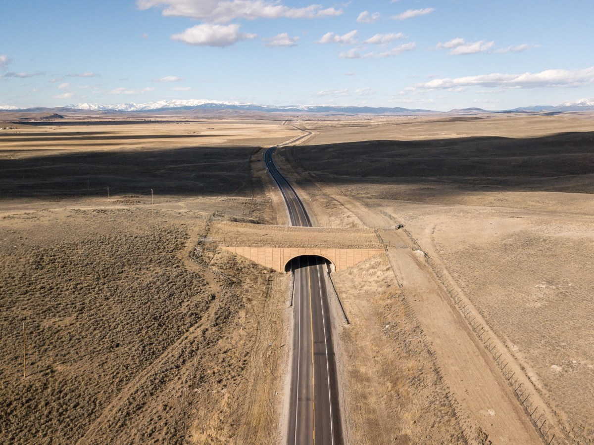 Roughly 5 miles separate the wildlife overpass just north of Daniel Junction, pictured, from the Trappers Point overpass outside Pinedale, Wyoming. Overpasses like these, along with underpasses and wildlife fences, have helped reduce wildife-vehicle collisions in the state by 80% to 90%, according to the Wyoming Game and Fish Department.