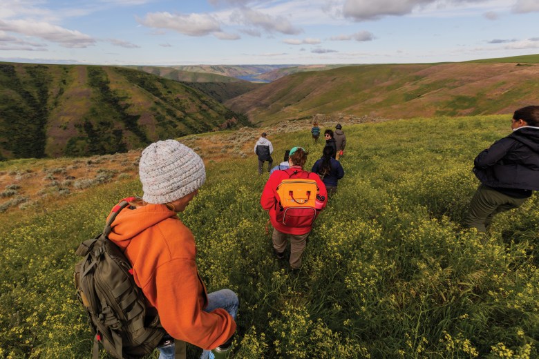 Workers from the Phoenix Conservancy in eastern Washington walk through the area known as the Palouse, where the group is restoring small parts of the endangered prairie.