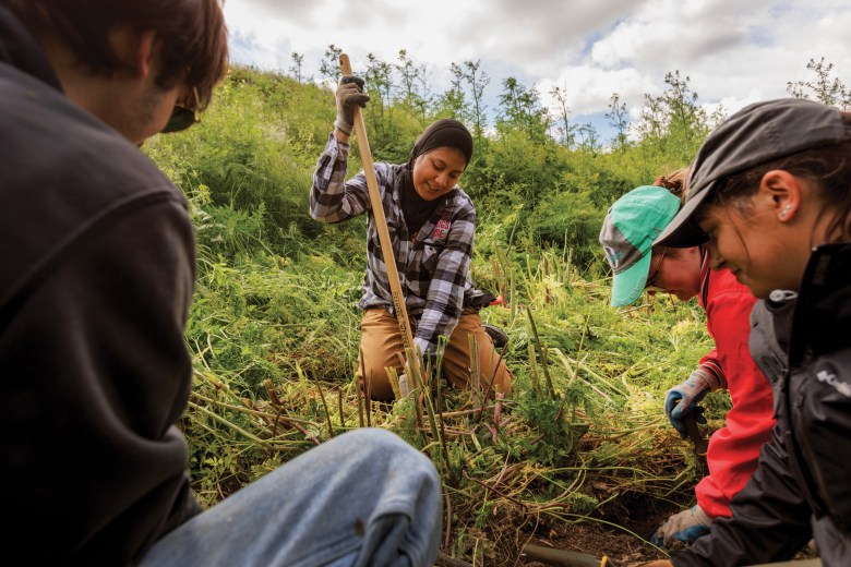 Miriam Padilla and the crew from the Phoenix Conservancy remove invasive species from farmland they plan to reseed with native plants.