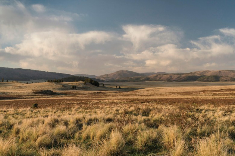 The grasslands of Valles Caldera National Preserve in northern New Mexico.