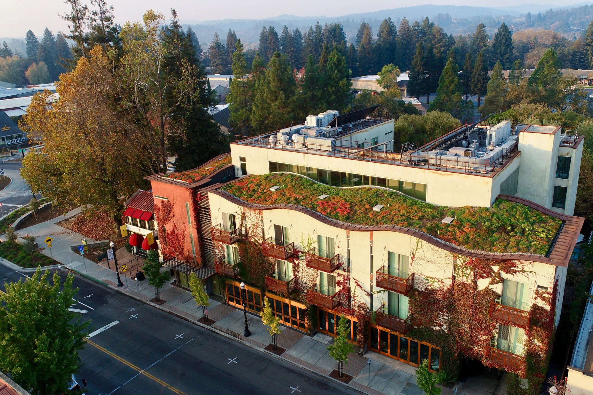 The living roof of the H2 Hotel in Healdsburg, California, both cools the building and mitigates rainwater runoff.