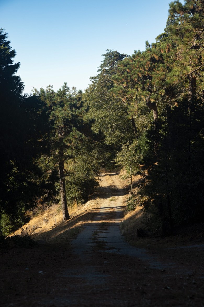 The single road accessing Jacques and Angeletta Powers’ property.